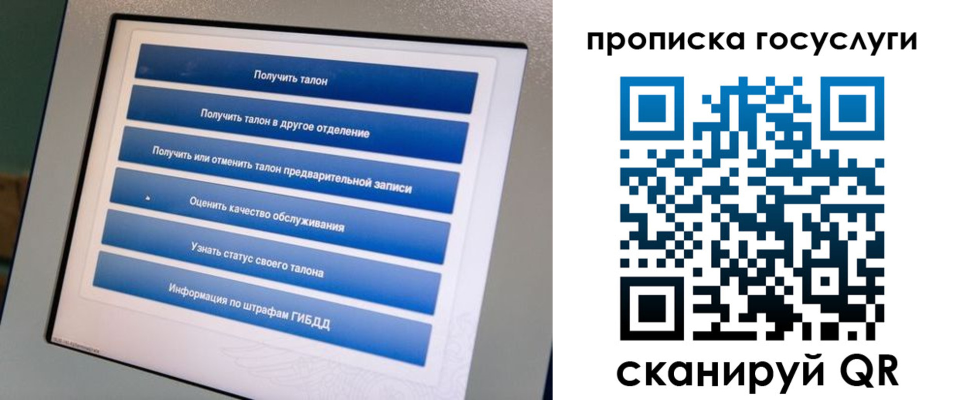прописка гарантия в Архангельске